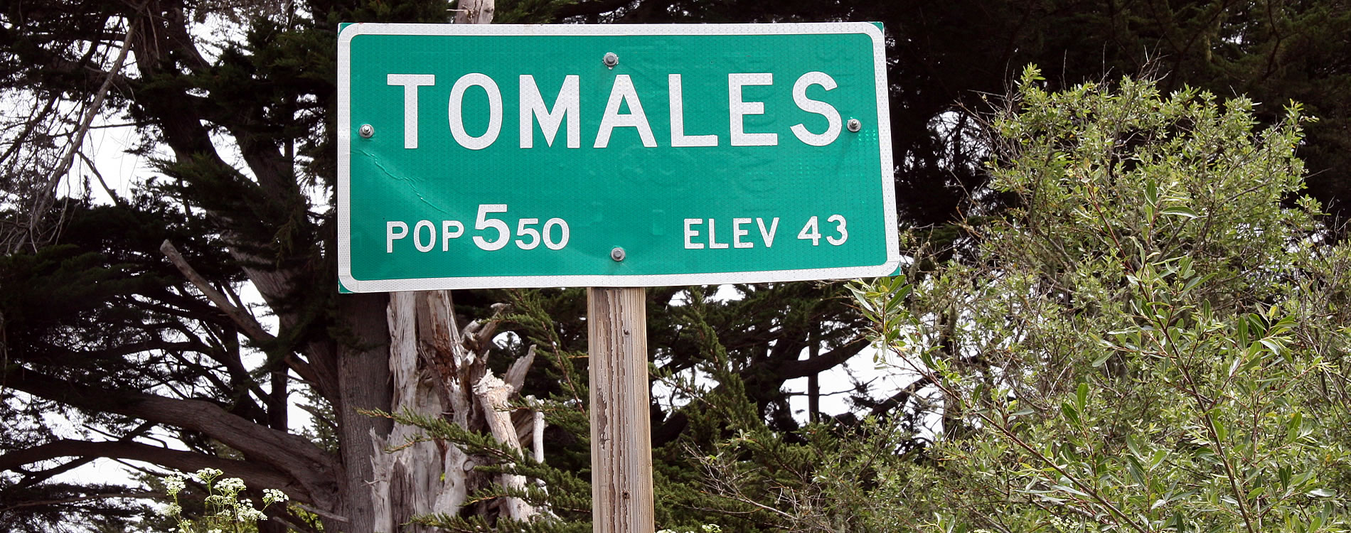 tomales california west marin county